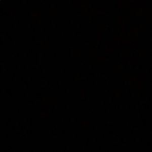 Meet your Posher, Angelica